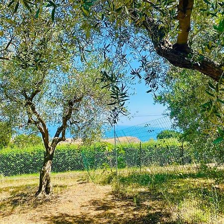 Villa In Collina Vista Mare Roseto Degli Abruzzi Exterior foto